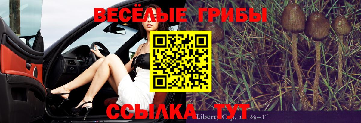 Каспийск  Галлюциногенные грибы Psilocybine cubensis  Вход с VPN 